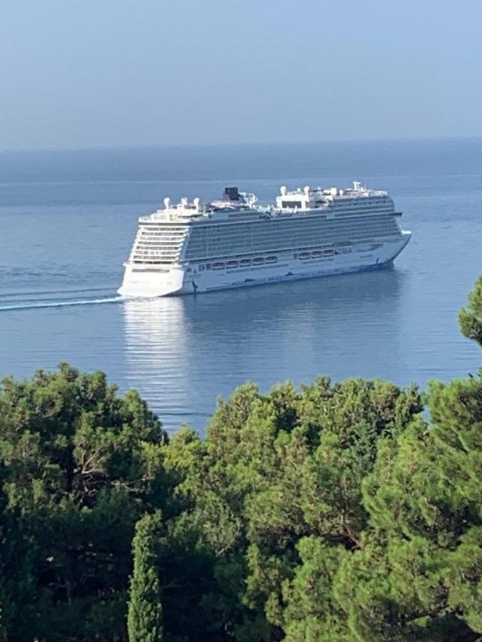 Apartman Ana Zeleni Pojas Bar Bagian luar foto