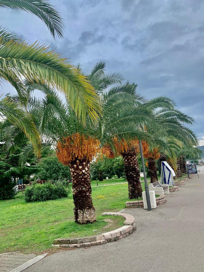 Apartman Ana Zeleni Pojas Bar Bagian luar foto