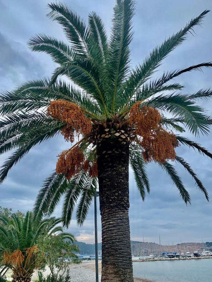 Apartman Ana Zeleni Pojas Bar Bagian luar foto